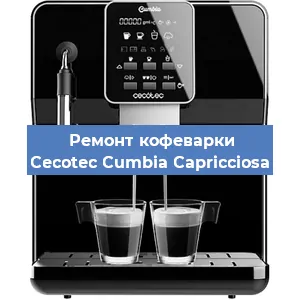 Замена ТЭНа на кофемашине Cecotec Cumbia Capricciosa в Нижнем Новгороде